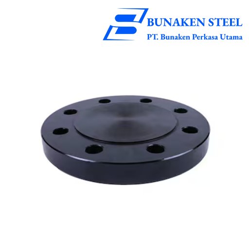 Blind Flange Carbonsteel