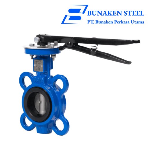 Butterfly Valve
