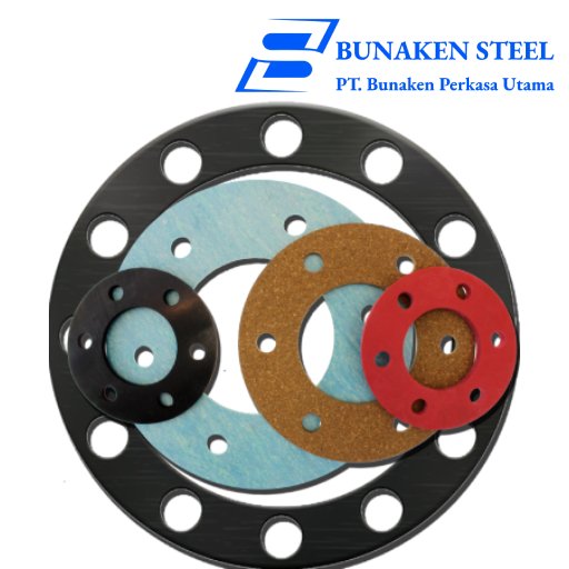 Gasket Flange Bunakensteel
