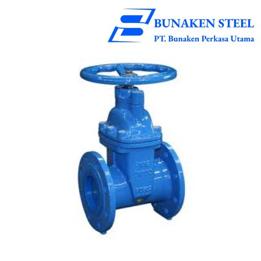 Gate Valve