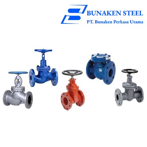 Jenis Valve